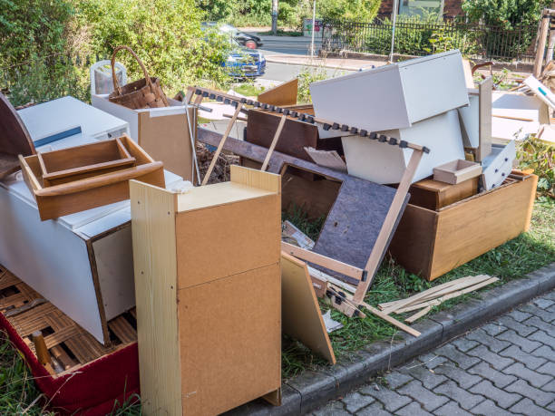Professional Junk Removal Services in Roseau, MN