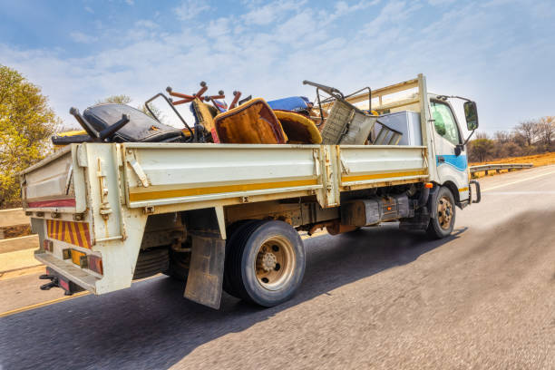 Best Shed Removal  in Roseau, MN
