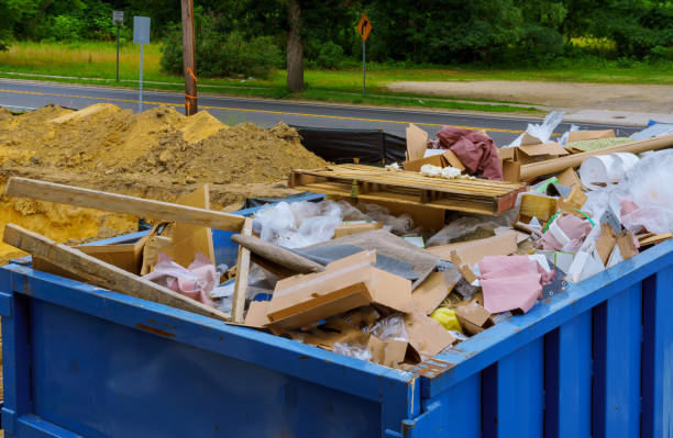 Best Carpet Removal and Disposal  in Roseau, MN
