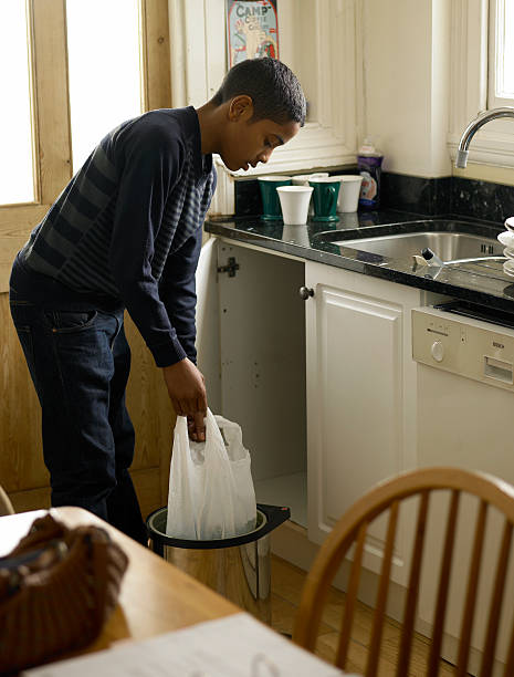 Best Property Management Cleanouts  in Roseau, MN